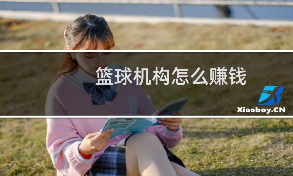 篮球机构怎么赚钱图片
