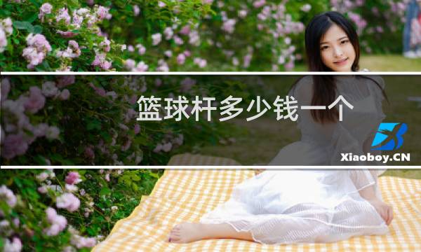 篮球杆多少钱一个图片