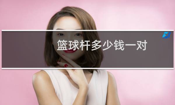 篮球杆多少钱一对图片