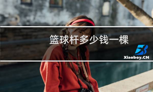 篮球杆多少钱一棵图片
