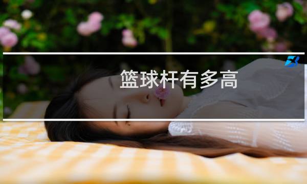 篮球杆有多高图片