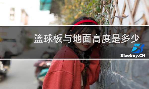 篮球板与地面高度是多少图片