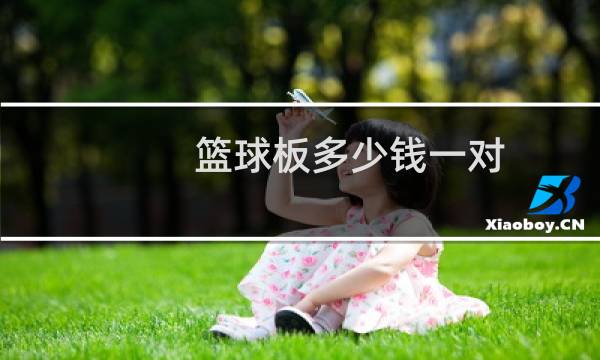 篮球板多少钱一对图片