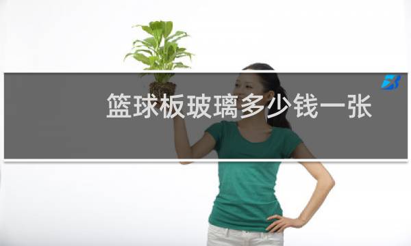 篮球板玻璃多少钱一张图片
