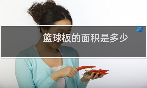 篮球板的面积是多少图片