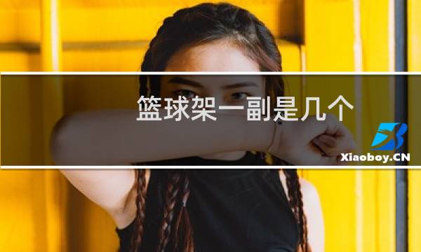 篮球架一副是几个图片