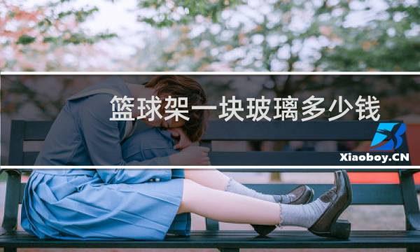 篮球架一块玻璃多少钱图片