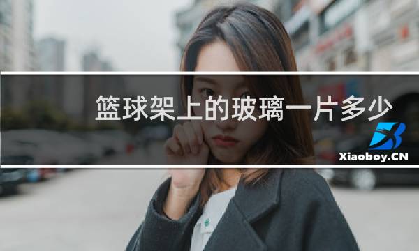篮球架上的玻璃一片多少钱图片