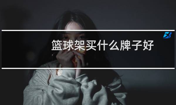 篮球架买什么牌子好图片