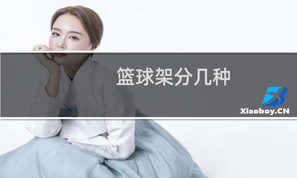 篮球架分几种图片