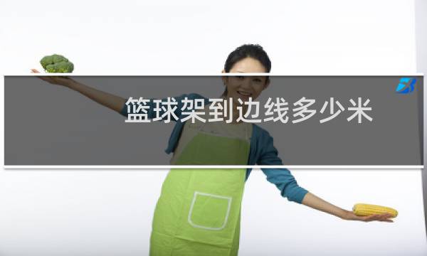 篮球架到边线多少米图片