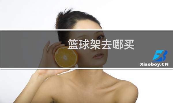 篮球架去哪买图片