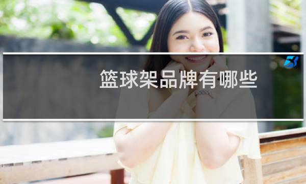 篮球架品牌有哪些图片