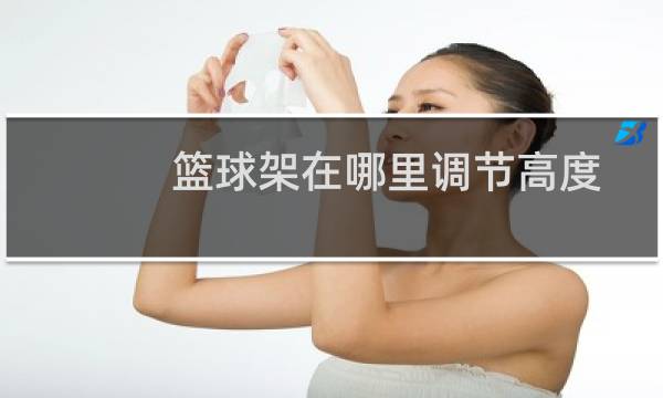 篮球架在哪里调节高度图片