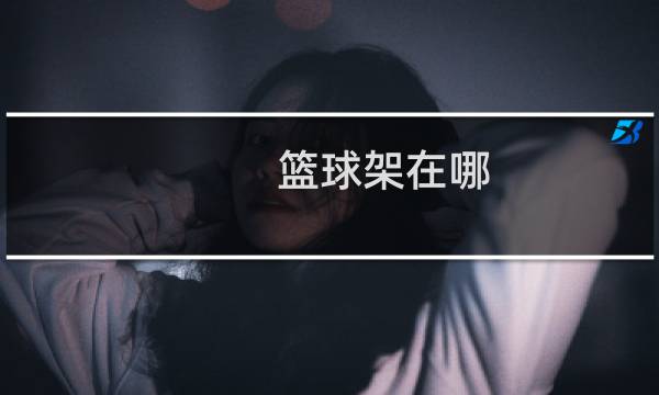 篮球架在哪图片