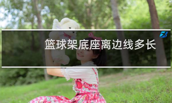 篮球架底座离边线多长图片