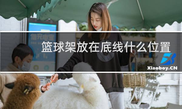 篮球架放在底线什么位置图片