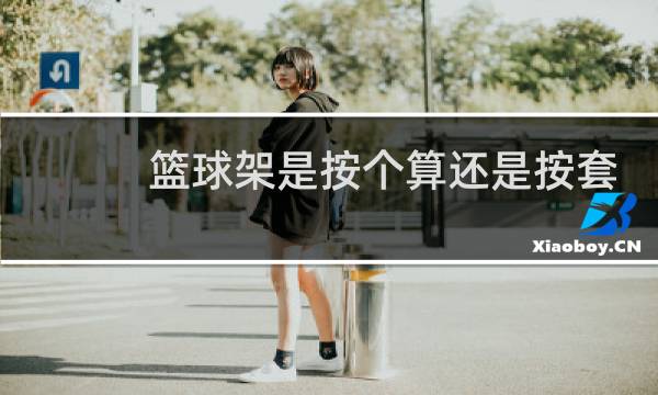 篮球架是按个算还是按套算图片