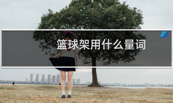 篮球架用什么量词图片