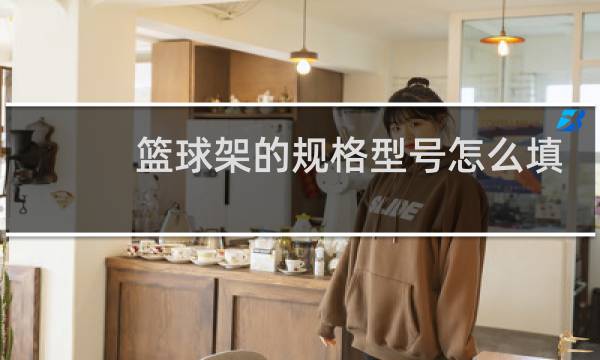 篮球架的规格型号怎么填图片