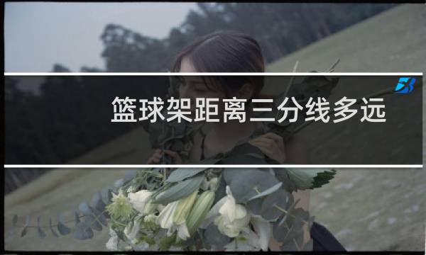 篮球架距离三分线多远图片