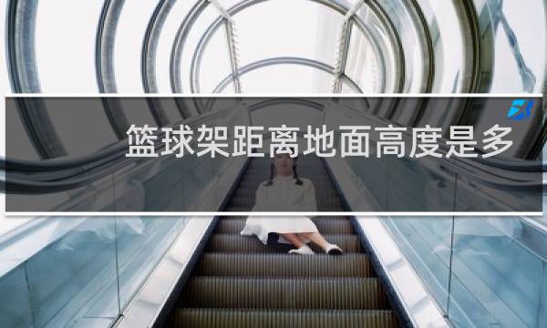 篮球架距离地面高度是多少图片