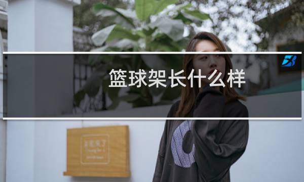 篮球架长什么样图片