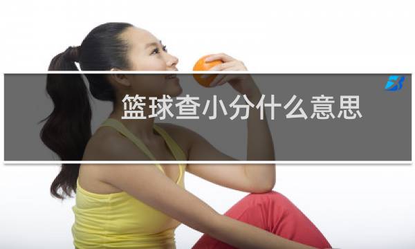 篮球查小分什么意思图片