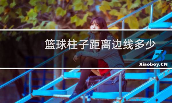 篮球柱子距离边线多少图片