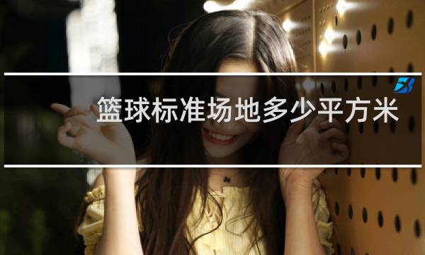 篮球标准场地多少平方米图片