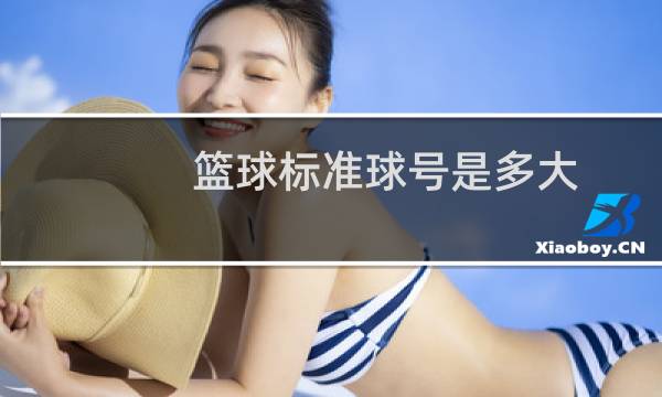 篮球标准球号是多大图片
