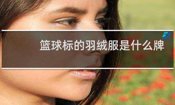 篮球标的羽绒服是什么牌子图片