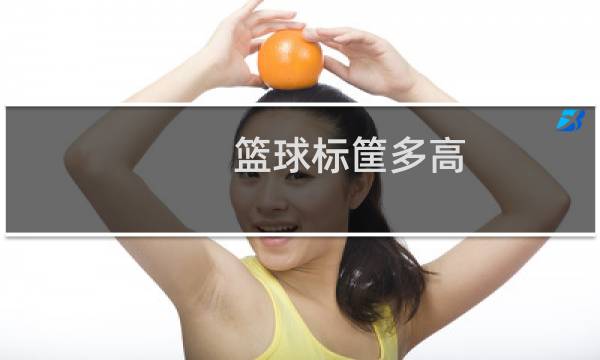 篮球标筐多高图片