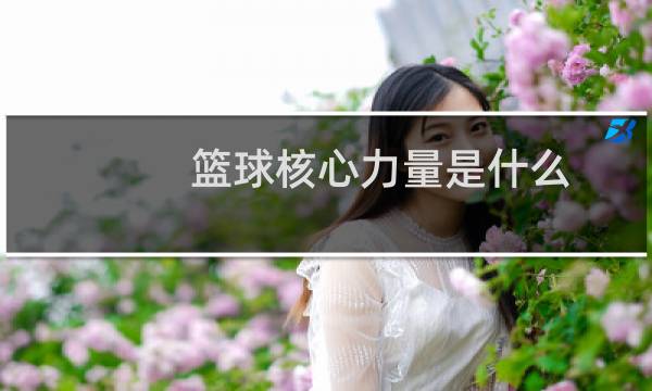 篮球核心力量是什么图片