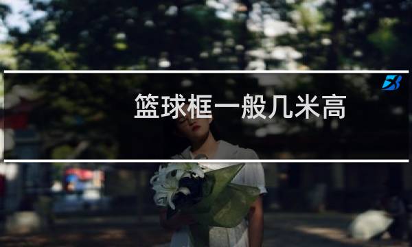 篮球框一般几米高图片