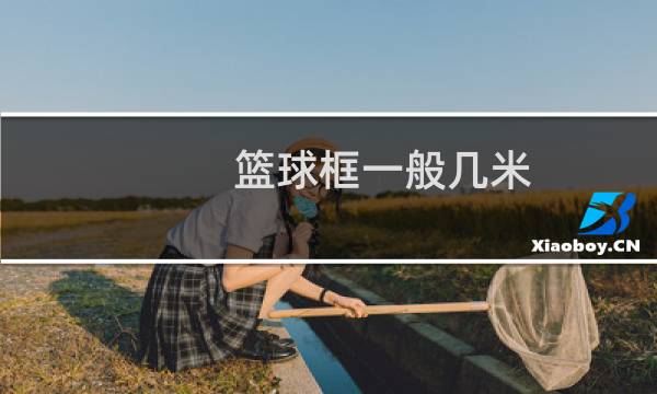 篮球框一般几米图片