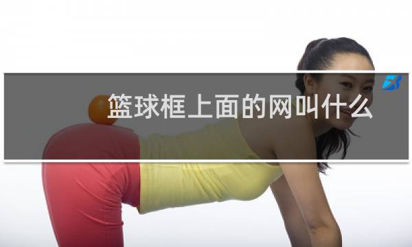 篮球框上面的网叫什么图片
