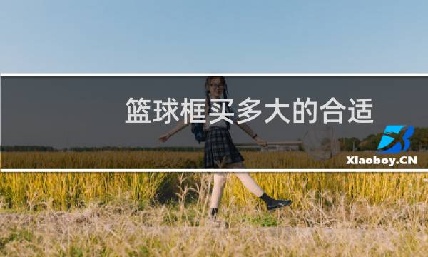 篮球框买多大的合适图片