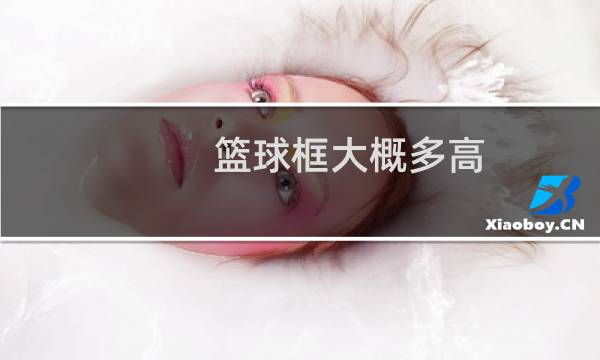 篮球框大概多高图片