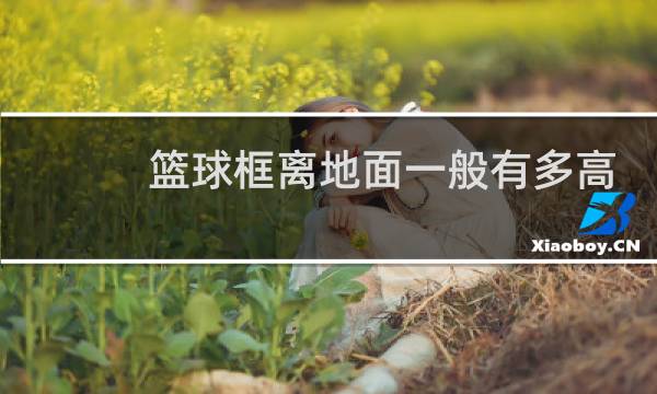 篮球框离地面一般有多高图片