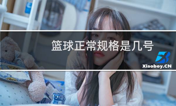 篮球正常规格是几号图片
