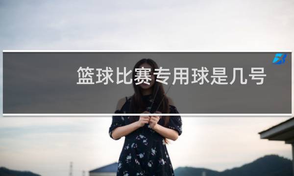 篮球比赛专用球是几号图片