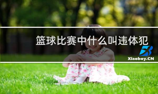篮球比赛中什么叫违体犯规图片