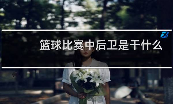篮球比赛中后卫是干什么的图片