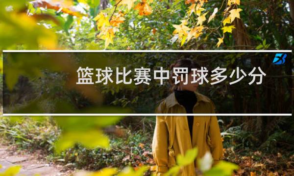 篮球比赛中罚球多少分图片