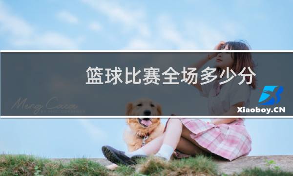 篮球比赛全场多少分图片