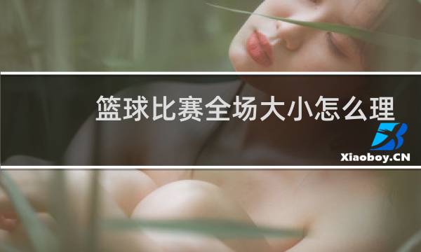篮球比赛全场大小怎么理解图片