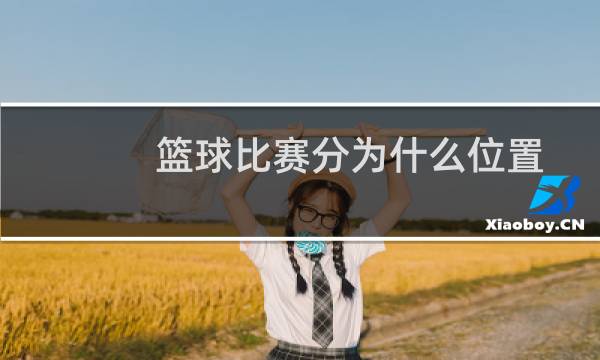 篮球比赛分为什么位置图片
