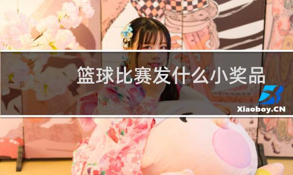 篮球比赛发什么小奖品图片