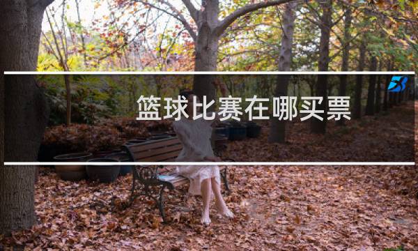 篮球比赛在哪买票图片